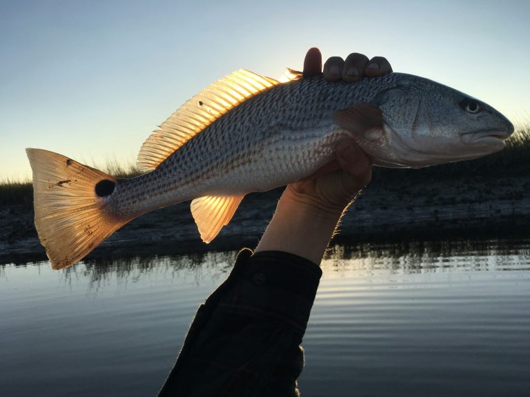Kayak Fishing Destin Florida in the bay for redfish
