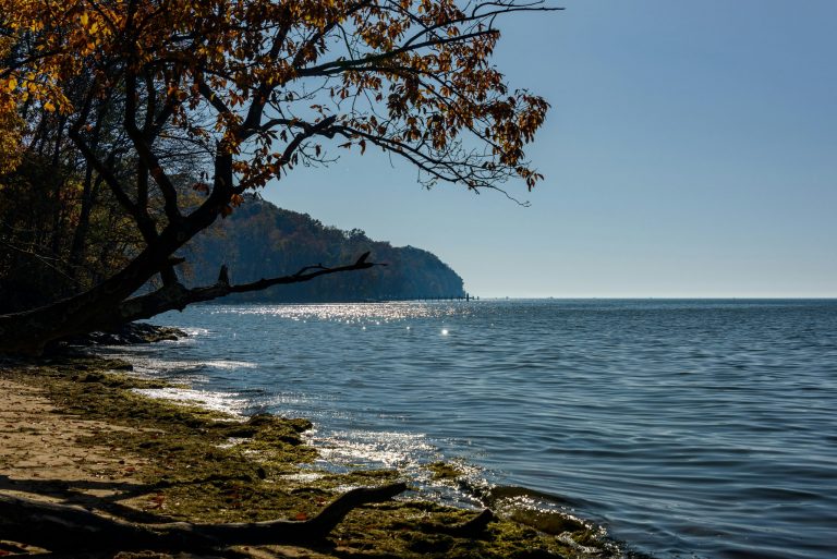 Kayak Fishing Chesapeake bay near Elk Neck State Park
