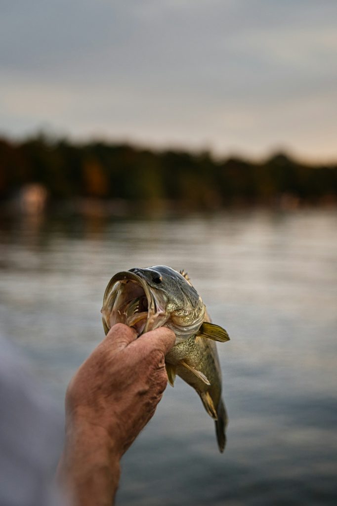 Kayak Fishing for Smallmouth Bass