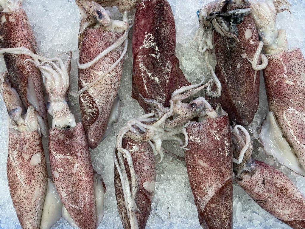 Kayak fishing with fresh or frozen squid can be productive on a variety of species